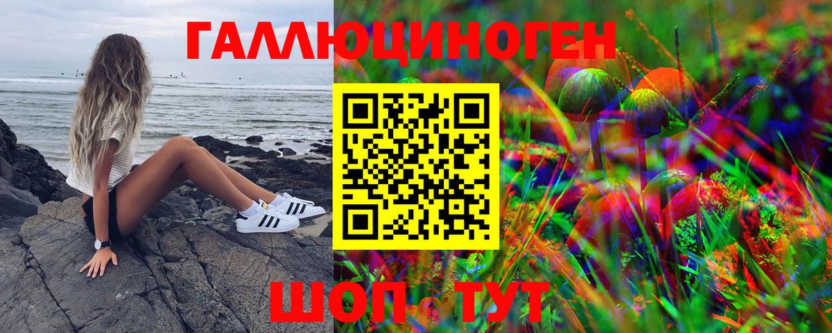 Шебекино  Псилоцибиновые грибы GOLDEN TEACHER  Псилоцибиновые грибы Magic Shrooms  Вход с VPN 
